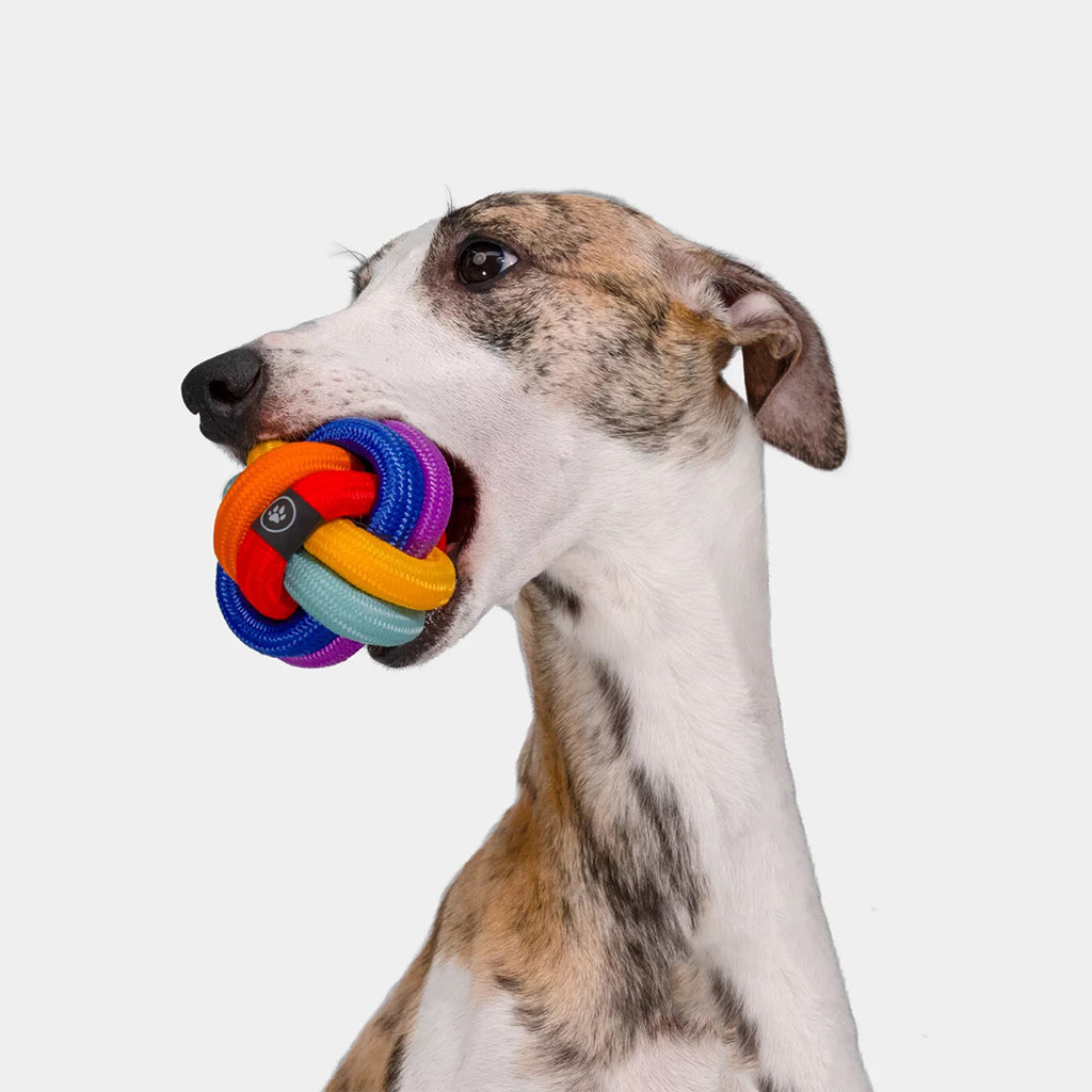 PUPPO-GG BALL