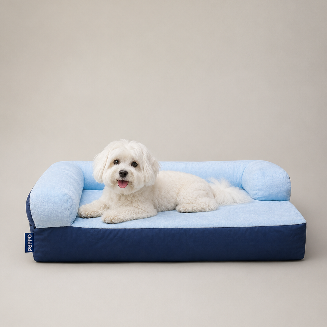 A small white dog lies on a blue pet bed with a navy base against a plain beige studio background. A small side tag shows the brand name.