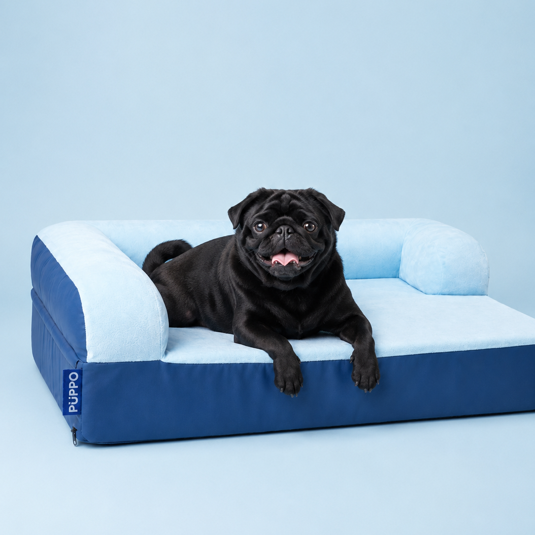 A black pug dog lies on a blue and light blue pet sofa bed against a solid light blue studio background. The brand name 'Puplu' is visible on a small tag on the left side of the sofa.
