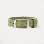 PUPPO-PETSTAR LEATHER COLLAR & LEASH-Sage green
