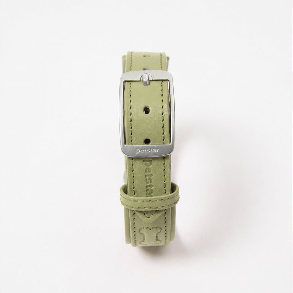 PUPPO-PETSTAR Leather collar-Sage green