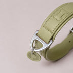 PUPPO-PETSTAR Leather collar-Sage green
