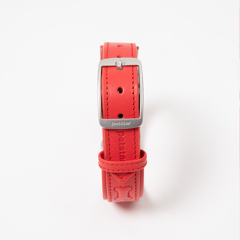PUPPO-PETSTAR LEATHER COLLAR & LEASH-Ruby red