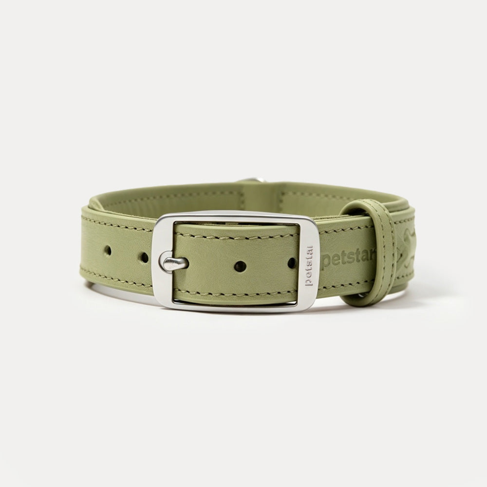 PUPPO-PETSTAR Leather collar-Sage green