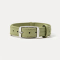 PUPPO-PETSTAR Leather collar-Sage green