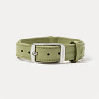 PUPPO-PETSTAR Leather collar-Sage green