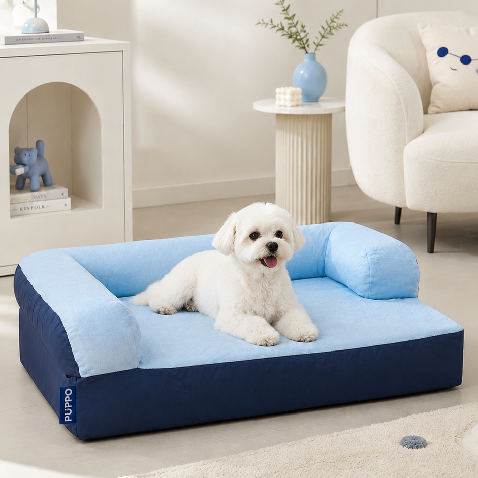 A small white dog lies on a blue and light blue pet bed in a bright, modern living room. The bed has a navy blue base and light blue top cushion, with a small visible 'lapupo' brand tag on the left side.